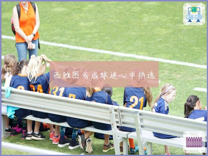 西雅图或成球迷心中热选