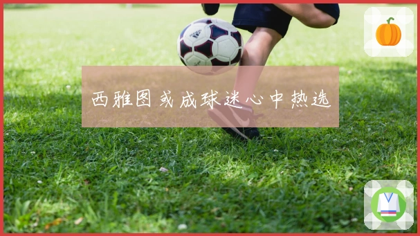 西雅图或成球迷心中热选